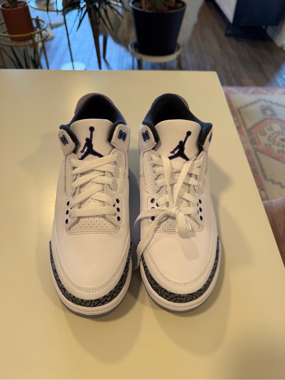 Nike Air Jordan 3 Retro